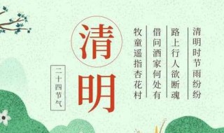 清明节内容怎么写（清明节内容怎么写手抄报）