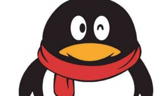 qq怎么做到不显示个人资料 qq怎么做到不显示个人资料信息