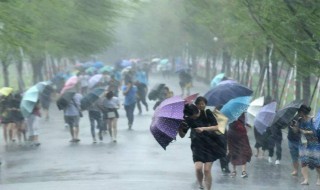1号台风黄蜂什么时候生成 1号台风黄蜂已加强为热带风暴