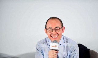潘石屹的简介 潘石屹的简介soho