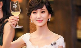 赵雅芝个人资料简介（赵雅芝个人资料简介及刘晓庆）