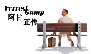 阿甘正传简介（电影阿甘正传简介）