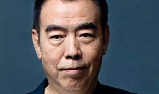 陈凯歌个人资料简介（陈凯歌个人资料简介及老婆）