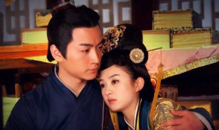 陆贞为什么不能生育（陆贞为什么不能生育女儿）