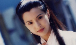李若彤个人简介 李若彤个人简介结婚了吗