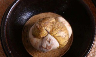 毛鸡蛋的功效与作用（毛鸡蛋的功效与作用及禁忌是什么）
