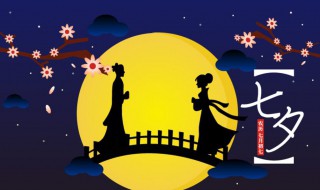迢迢牵牛星这首诗中的叠音词的作用（迢迢牵牛星中叠词的妙用）