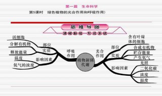植物呼吸作用与什么因素有关（植物呼吸作用的影响因素是什么）