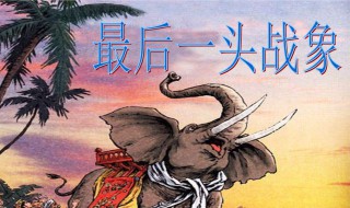最后一头战象读后感 最后一头战象读后感400字