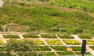 白鹿原是真实存在的吗 白鹿原是真实的还是虚构的
