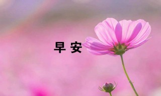 早上发朋友圈的句子（高情商早上发朋友圈的句子）