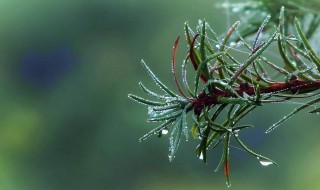 一场秋雨一场寒下一句 一场秋雨一场寒下一句搞笑