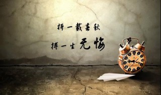 无怨无悔爱一场是什么歌 歌词无怨无悔爱一场是什么歌