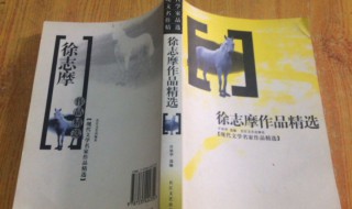 徐志摩代表作 徐志摩代表作品