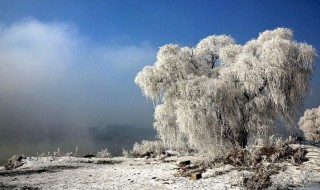关于雪的古诗 关于雪的古诗100首