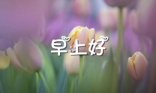 最浪漫的说早安方式 最浪漫的说早安方式简短