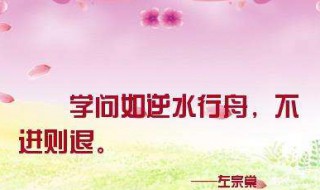 学如逆水行舟不进则退下一句（学如逆水行舟不进则退下一句自编）