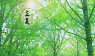 描写立夏的诗句古诗词