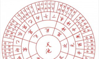 天干地支五行八卦口诀（天干地支背诵口诀24个字）