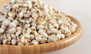 薏仁米与什么同吃（薏仁米与什么同吃效果好）
