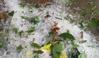 夏天下冰雹的原因（冰雹砸死人图片）