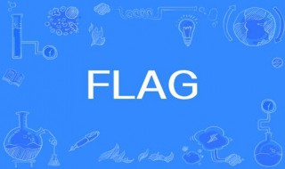 flag是什么梗