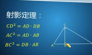 射影定理（射影定理的定义）