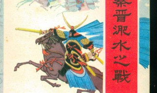 秦晋淝水之战简介（淝水之战秦晋胜负的原因）