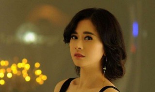 何美钿个人资料 何美钿个人简历
