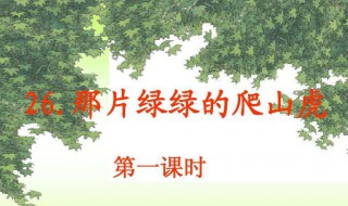 那片绿绿的爬山虎主要内容（那片绿绿的爬山虎主要内容写了什么）