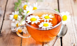 菊花茶会过期吗 菊花茶会过期吗?
