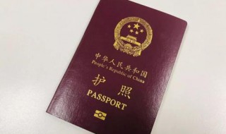 护照照片要求（护照照片要求头发）