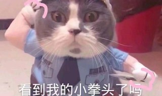 对男朋友撒娇卖萌的话语（男朋友撒娇卖萌的话语怎么说）