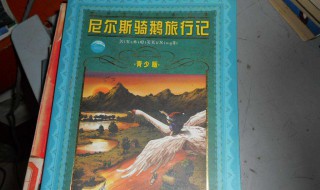 尼尔斯骑鹅旅行记作者（尼尔斯骑鹅旅行记作者简介50字）