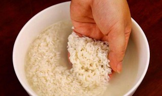 糯米泡多久可以包粽子（糯米泡多久可以包粽子怎么包）