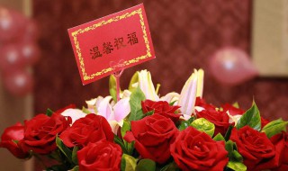 温柔祝福的文案 温柔祝福的文案句子