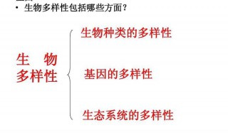 生物多样性包括哪三个层次（高中生物多样性包括哪三个层次）