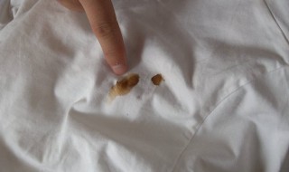 红笔不小心画到衣服上了怎么洗（衣服上弄上红笔油怎么办）