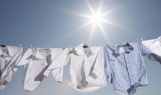 洗衣机洗衣服粘到卫生纸怎么办 洗衣机洗了卫生纸堵了怎么办