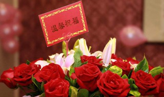 别人给你祝福如何回复 别人给你祝福如何回复对方
