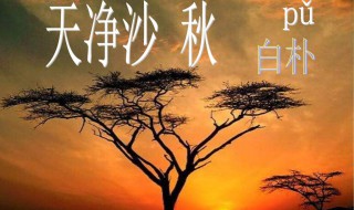 青山绿水下一句是什么 青山绿水下一句是什么金山银山