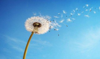 人生感悟的句子简短的（人到中年人生感悟的句子简短的）