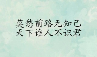 天下谁人不识君的上一句 天下谁人不识君的上一句 莫愁前路无知己作者