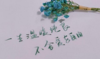 一生温暖纯良什么意思 一生温暖纯良是什么意思