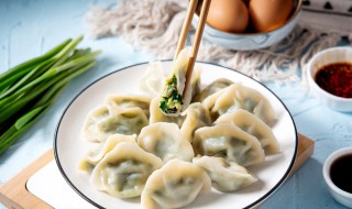 饺子英语 饺子英语复数