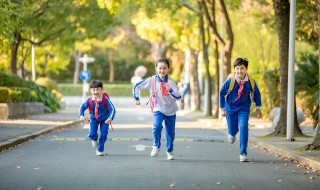小学生心理健康教育内容（小学生心理健康教育内容摘要）