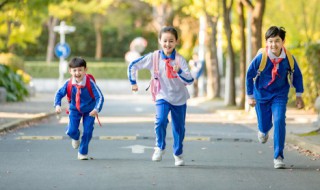 小学生交通安全标语（小学生交通安全内容）