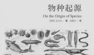 达尔文的著作（达尔文的著作有哪些）