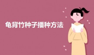 龟背竹种子播种方法（龟背竹怎么栽种）