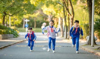 小学生安全教育小常识（小学生安全教育小常识100条）